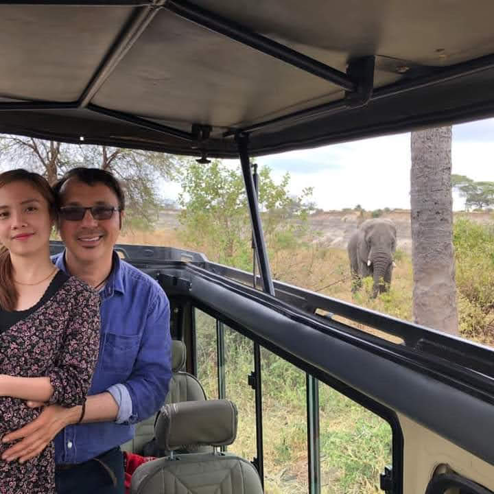 Mikumi Safari – Guests observing elephants from a safari vehicle